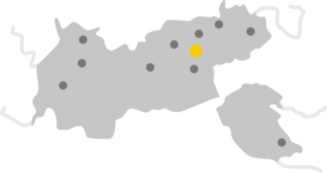 Tirol_Fuegen - INFAR Map of a region with grey land, dark gray dots indicating locations, and a single yellow dot highlighting a key site; white coastline lines frame the area.