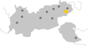 Tirol_Kitzbuehel - INFAR Stylized gray map with several dark markers and one yellow marker at the northeast; a separate island to the southeast.