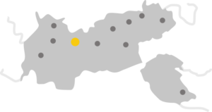 Tirol_Telfs - INFAR Stylized gray map with several dark location markers and one yellow marker highlighting a key location.